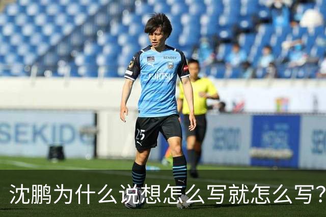 沈鹏为什么说想怎么写就怎么写？